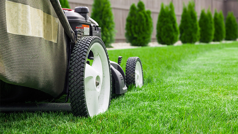 High Quality Equipment for Lawns